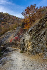 Amazing autumn color pallet of the narrow canyon and a mountain road leading through the rocks and trees