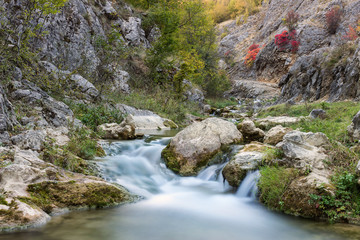 Long exposure, low angle view of powerful mountain creek in a canyon and red autumn trees growing from rocky cliff