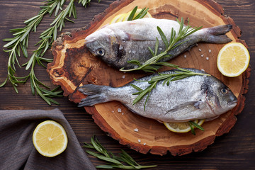 Fresh uncooked dorado or sea bream fish with lemon, herbs, oil, vegetables and spices on rustic wooden board over black backdrop, top view