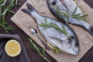Fresh uncooked dorado or sea bream fish with lemon, herbs, oil, vegetables and spices on rustic wooden board over black backdrop, top view