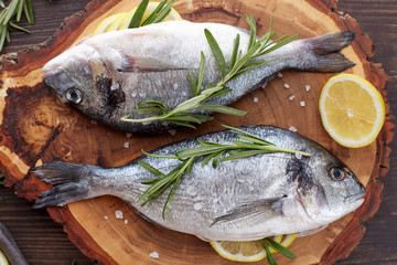 Fresh uncooked dorado or sea bream fish with lemon, herbs, oil, vegetables and spices on rustic wooden board over black backdrop, top view