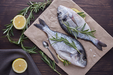 Fresh uncooked dorado or sea bream fish with lemon, herbs, oil, vegetables and spices on rustic wooden board over black backdrop, top view