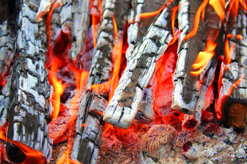 Beautiful burning firewood. Close-up. Background. Texture.