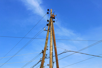 Wooden power line pylon. Close-up. Background.