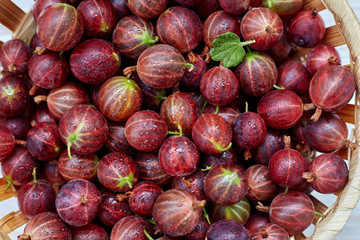 Gooseberries in a white bowl on a light background