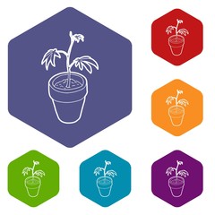 Cannabis plant icons vector colorful hexahedron set collection isolated on white