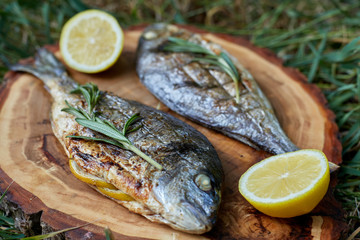 Baked fish dorado with vegetables on cutting board