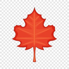 Maple leaf icon. Cartoon illustration of maple leaf vector icon for web
