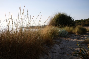 Mallorca Cala Millor