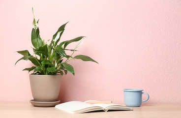 Potted peace lily plant, cup and notebook on wooden table near color wall. Space for text