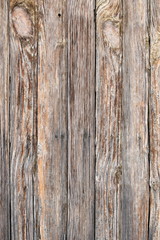 Wood old texture of tree nature background