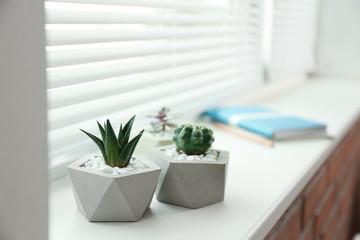 Window with blinds and potted plants on sill, space for text