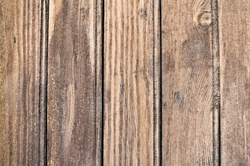 Fototapeta premium Wood old texture of tree nature background