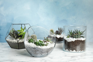 Glass florariums with different succulents on table against color background, space for text