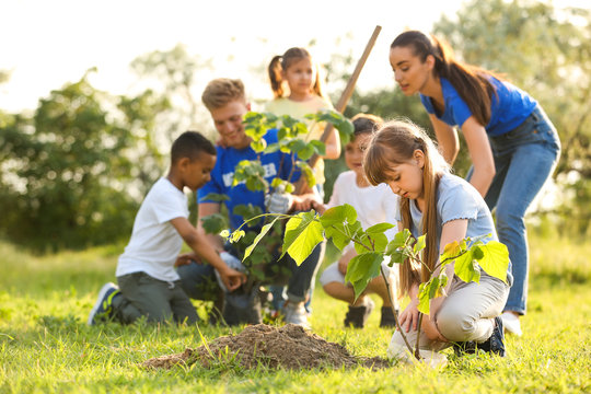 Kids planting trees with volunteers in park