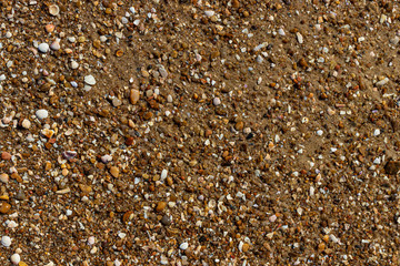 close up on wet beach sand texture