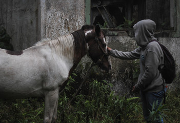 Respeto y amor a un caballo