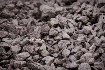 Road gravel and granite gravel texture. Crushed Gravel background. Pile of Stones texture. Industrial coals
