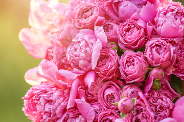 Bouquet of beautiful peony flowers, closeup