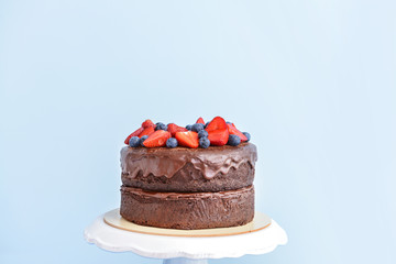 Stand with tasty chocolate cake on light background
