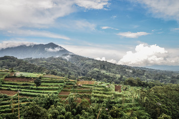 Fototapeta premium Panorama of beautiful mountains and agricultural grounds