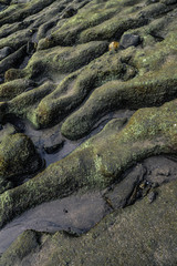 Texture of rocky ocean floor