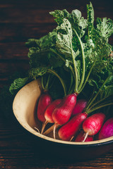 Bowl of homegrown red radish on wooden table