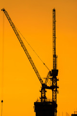 The silhouette of a large construction crane