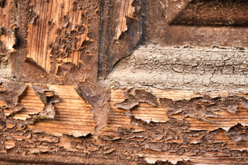 Old wood in window bars of rust texture