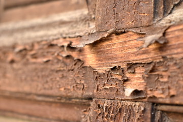 Old wood in window bars of rust texture