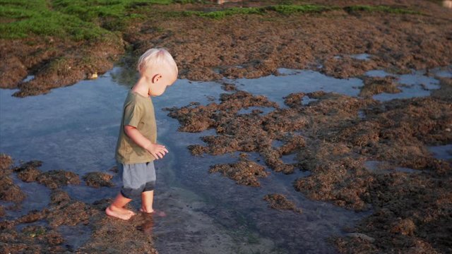 Caucasian two-years old boy is walking carefully on rocks and puddles at Balangan beach during low tide. Bali, Indonesia