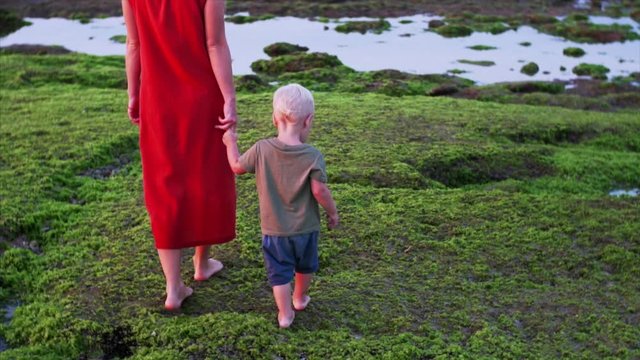 Slow motion of barefooted caucasian family, mother and son walking on green algae at low tide. Famous Balangan beach, Bali, Indonesia