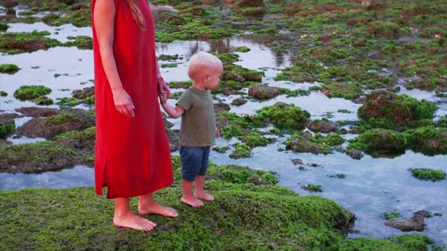 Caucasian son is holding mother's hand while walking on green algae and exploring shore at low tide. Slow motion. Balangan beach, Bali, Indonesia
