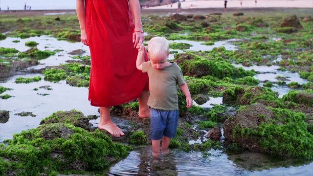 Cute boy is holding mother's hand while exploring puddles and on green algae on the shore at low tide. Slow motion. Balangan beach, Bali, Indonesia