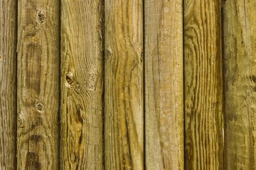 Log boards showing wood grain