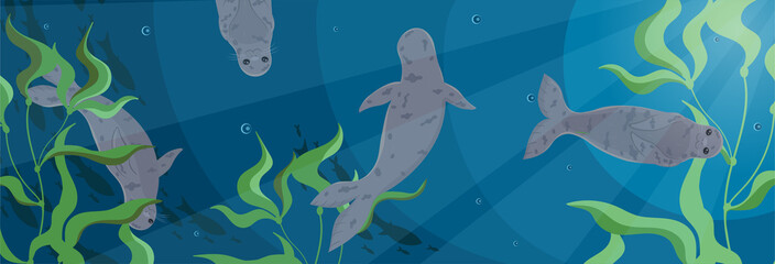 Banner with seals swimming in the sea. Vector graphics.