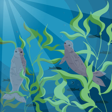 Banner with seals swimming in the sea. Vector graphics.