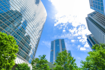 爽やかな緑のビジネス街