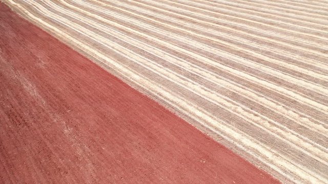 bird's eye view of agricultural fields with a pattern of parallel stripes