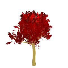 Red maple tree 2D rendering graphic picture isolated on white background. For decorating the garden and forest.