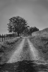 road in B/W