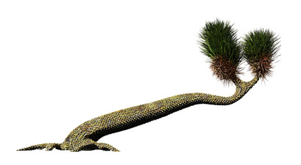 Sigillaria, tree-like plant from the Carboniferous and Permian period isolated on white background (3d science rendering)