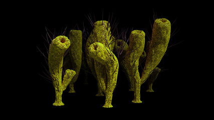 group of Pirania, sponge species from the Middle Cambrian Burgess Shale, isolated on black background (3d paleoart illustration) © dottedyeti