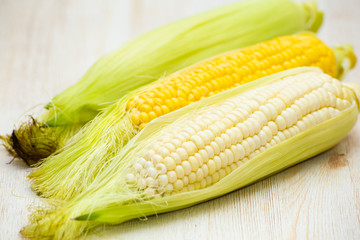 White and Yellow Corn on the white background