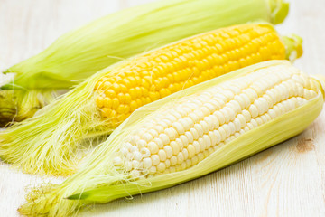 White and Yellow Corn on the white background