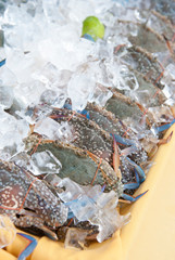 Buffet seafood set up, Crab raw food. -Image.