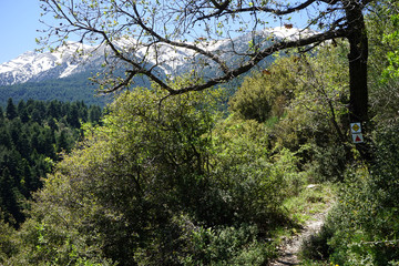E4 trail
