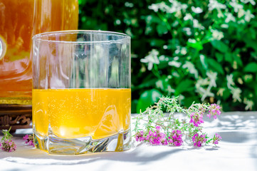Refreshing kombucha tea with thyme in a glass on backdrop of blurred flowers. Healthy natural probiotic flavored drink. Copy space