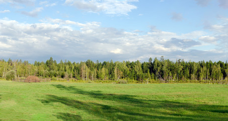 A haystack behind the fence stands on the edge of a green glade with shadows from large trees in the wild taiga of Yakutia.
