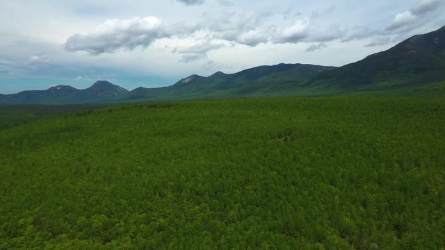 Orbiting around a vibrant spring forest revealing Mount Kahtadin in the background AERIAL PARALLAX